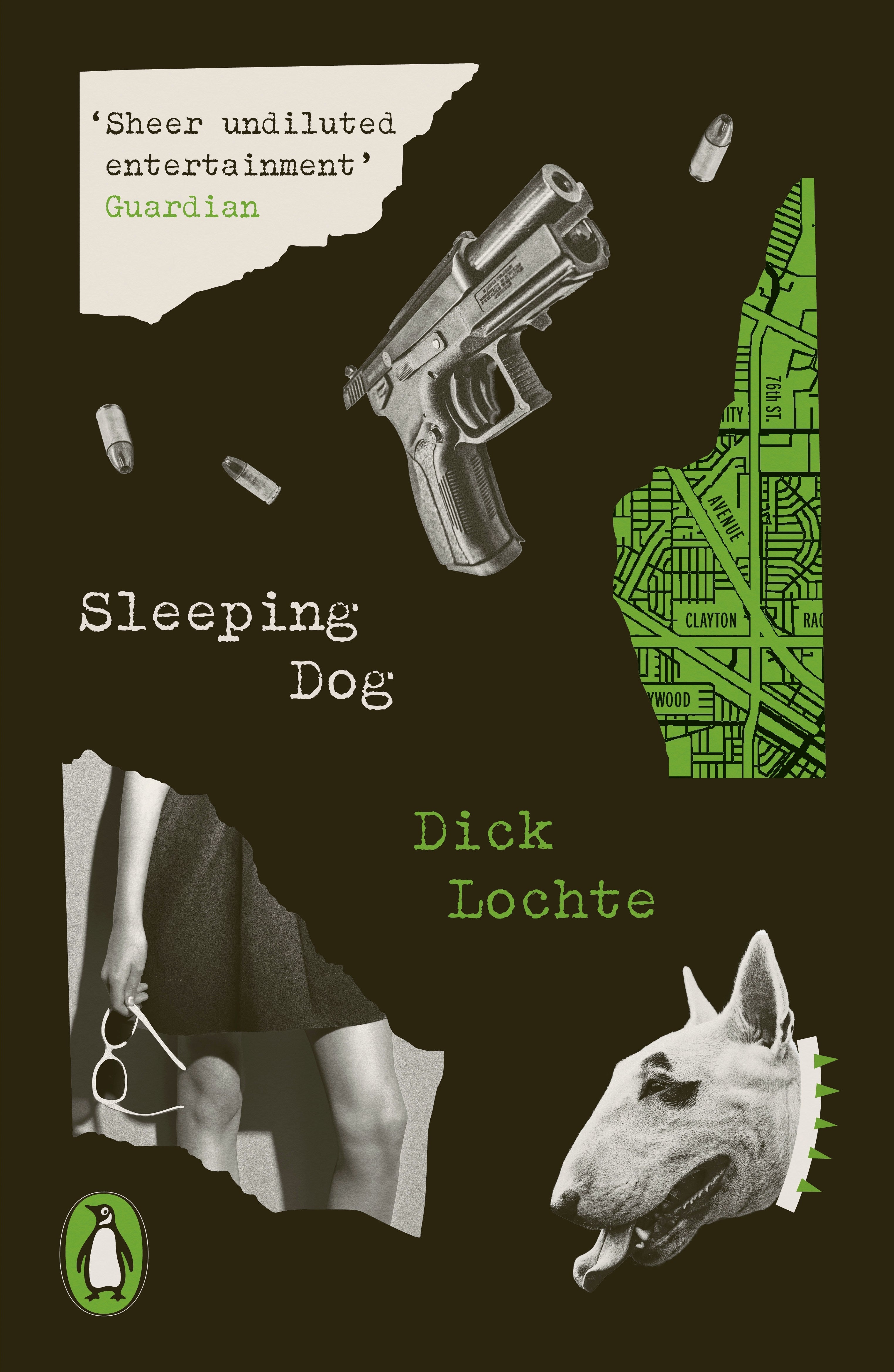 Sleeping Dog cover image