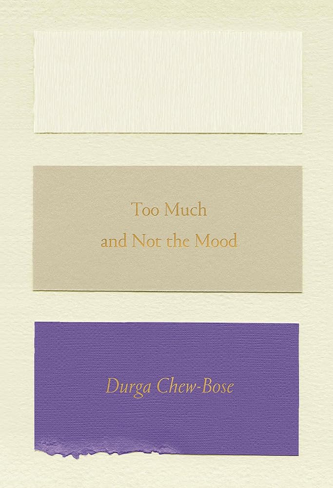 Too Much and Not the Mood: Essays cover image