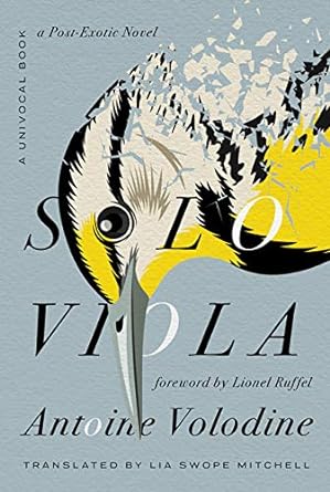 Solo Viola A Post-Exotic Novel cover image