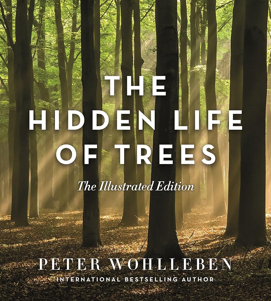 The Hidden Life of Trees (Illustrated Edition) cover image