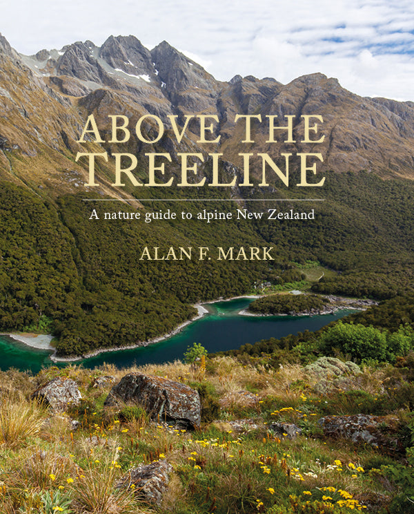 Above the Treeline cover image