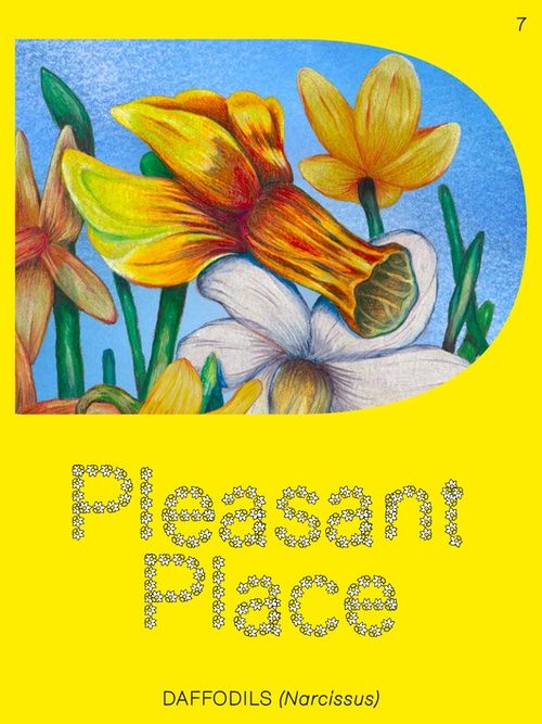 Pleasant Place #7 Daffodils (Narcissus) cover image