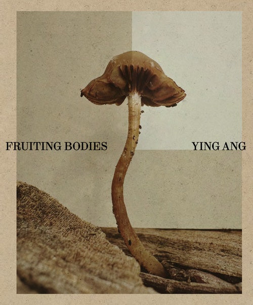 Fruiting Bodies cover image