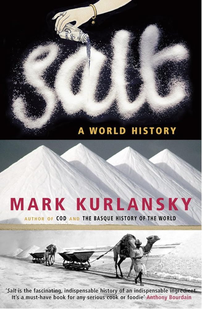 Salt A World History cover image