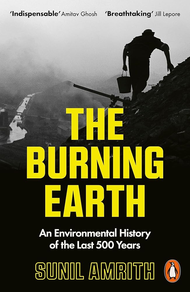The Burning Earth: An Environmental History of the Last 500 Years cover image
