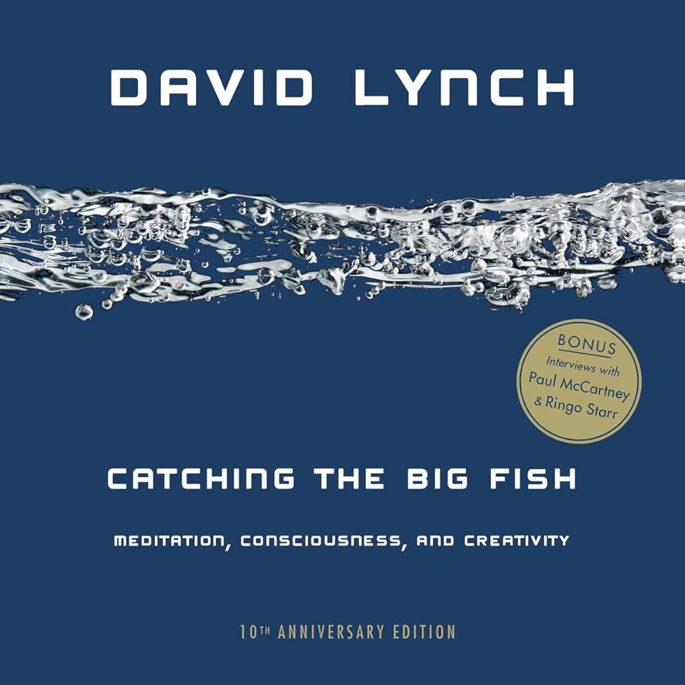 Catching the Big Fish Meditation, Consciousness, cover image
