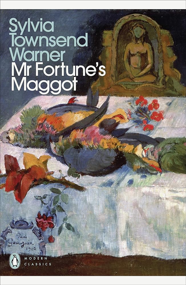 Mr Fortune's Maggot cover image