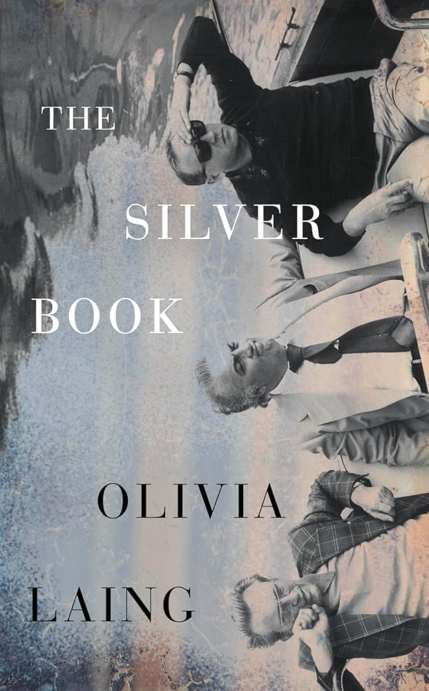 The Silver Book cover image