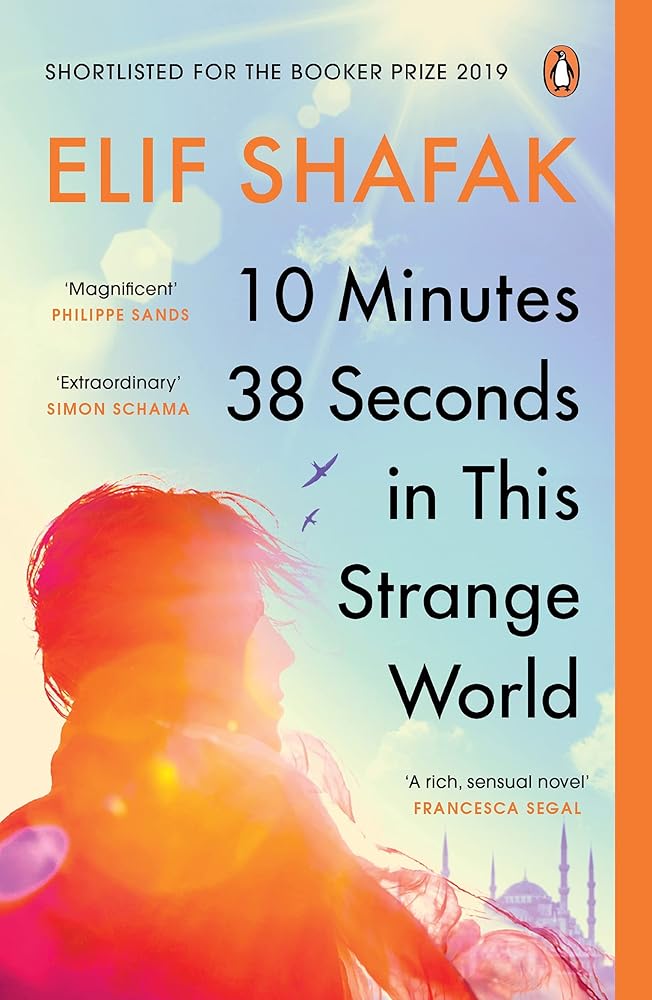 10 Minutes 38 Seconds in this Strange World cover image