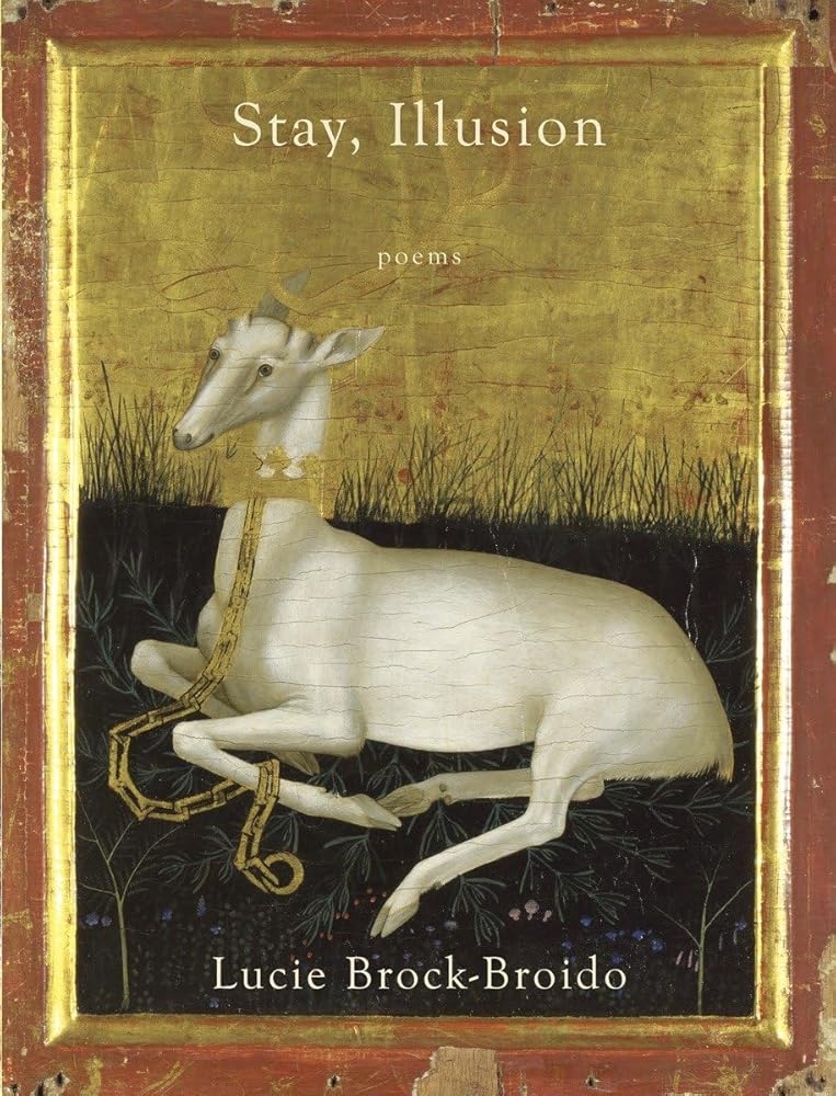 Stay, Illusion: Poems cover image