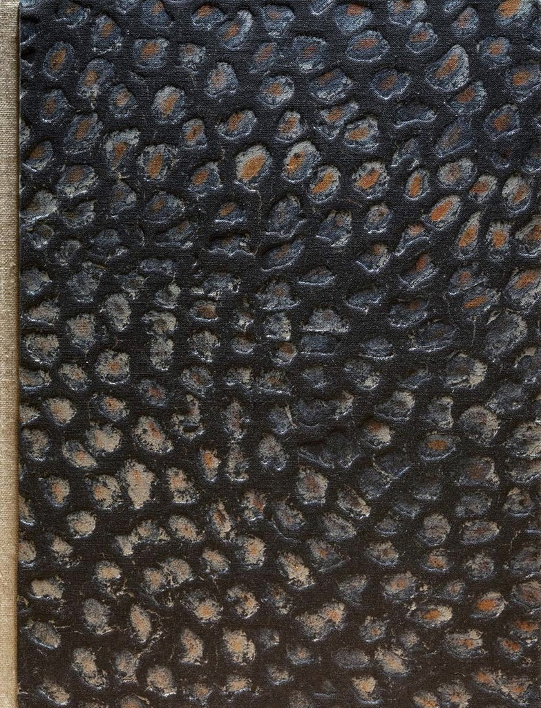 Takoto ai te Marino: Selected Works 2018–2025 cover image