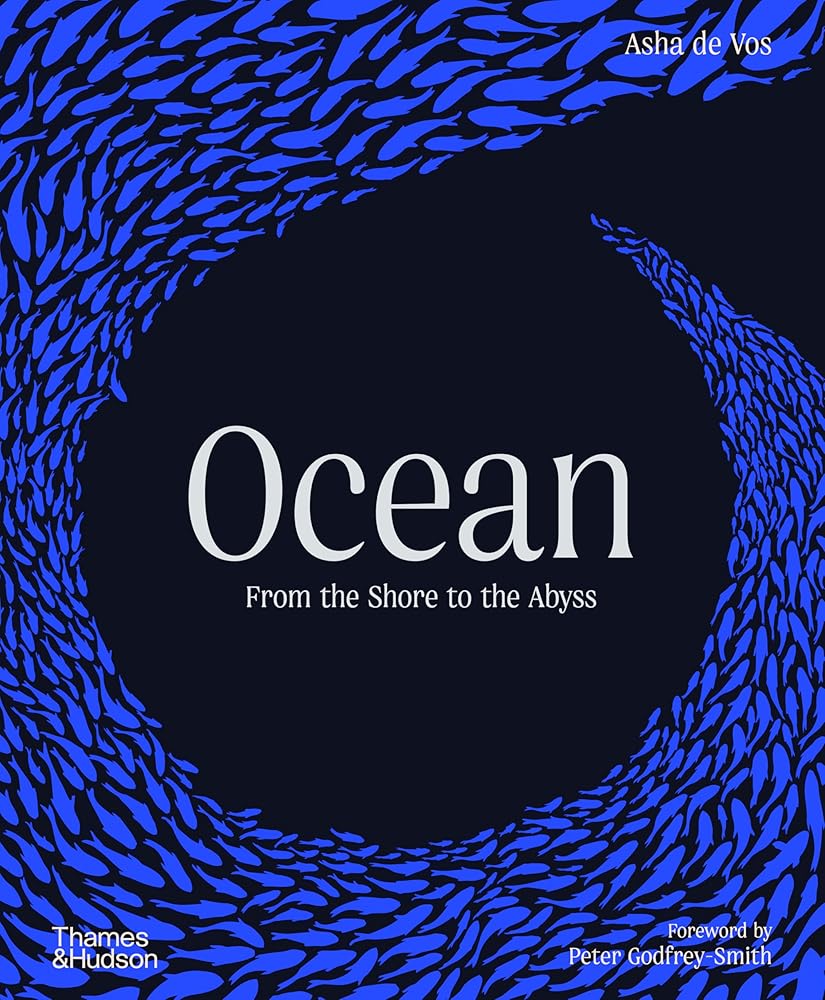 Ocean: From the Shore to the Abyss cover image