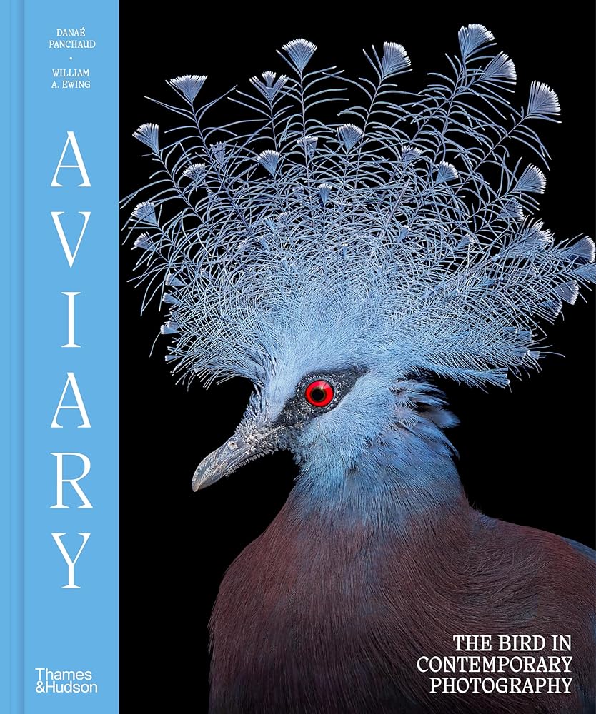 Aviary: The Bird in Contemporary Photography cover image