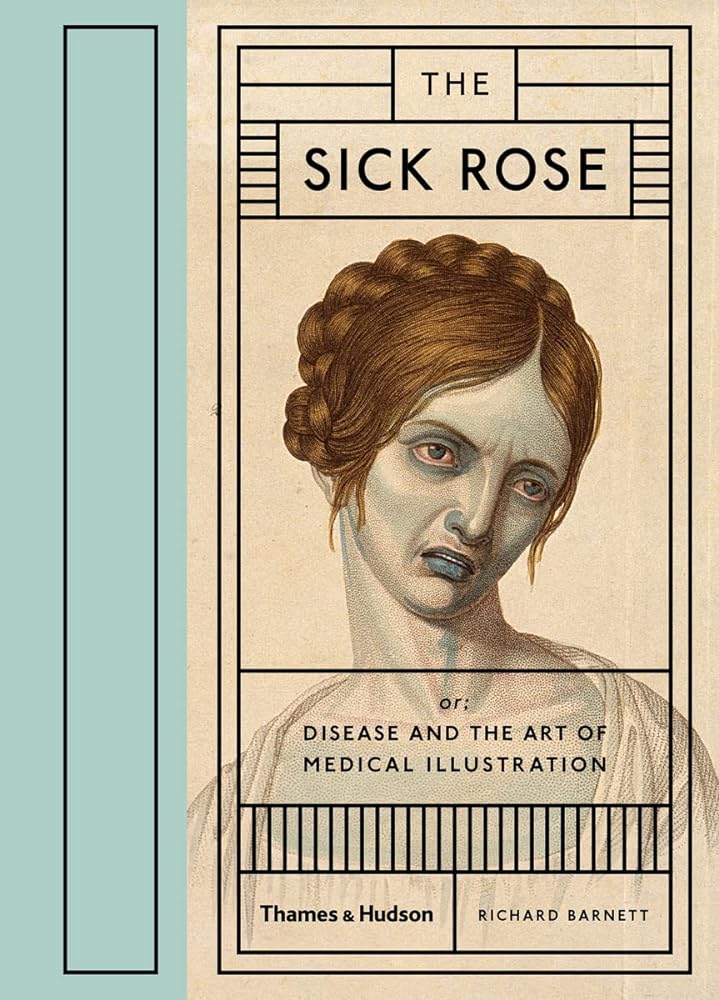 The Sick Rose Disease and the Art of Medical Illustration cover image