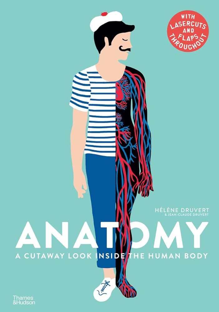 Anatomy A Cutaway Look Inside the Human Body cover image
