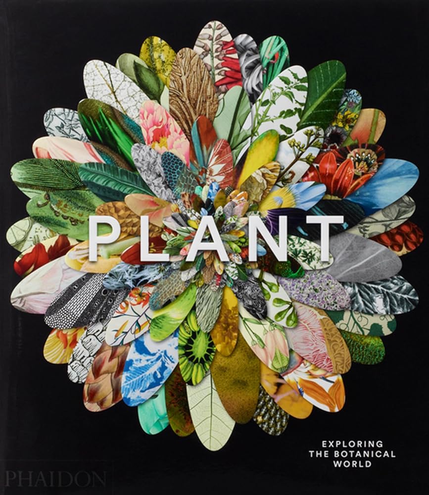 Plant Exploring the Botanical World cover image