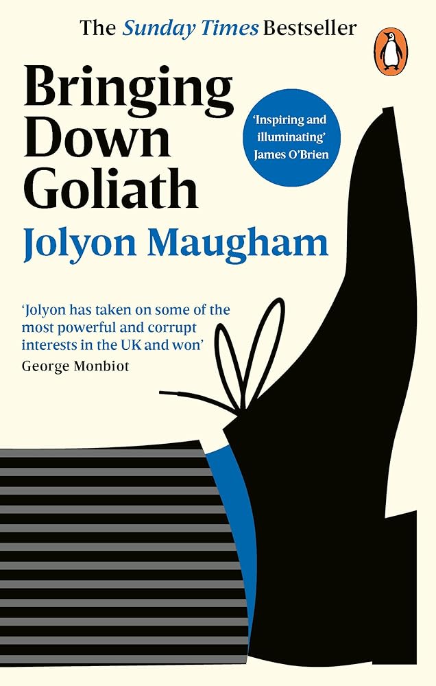 Bringing Down Goliath: How Good Law Can Topple the Powerful cover image