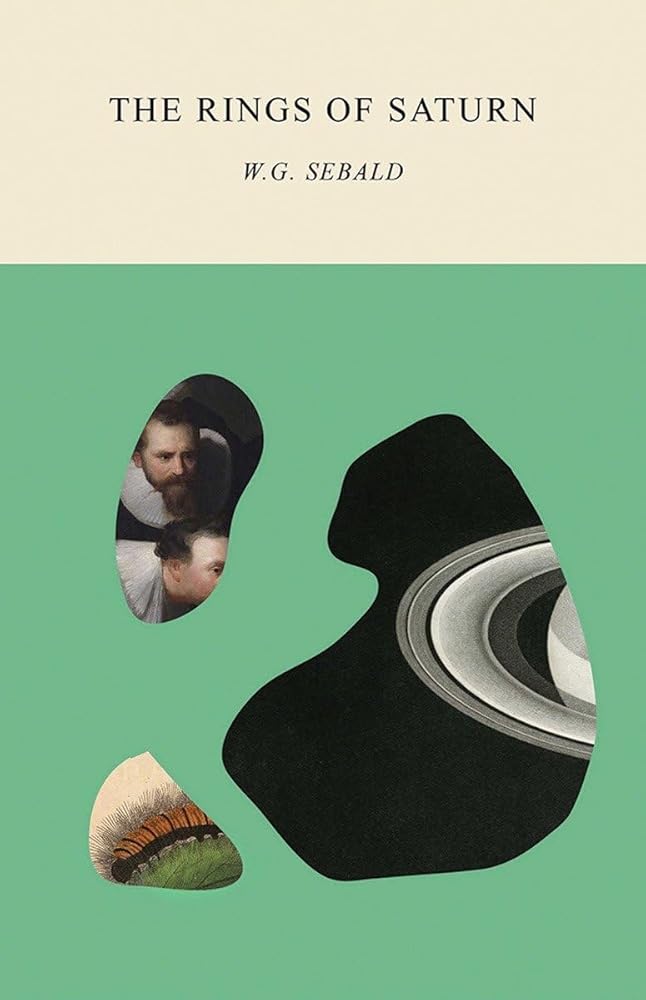 The Rings of Saturn cover image