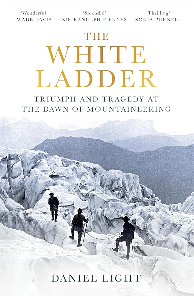 The White Ladder cover image