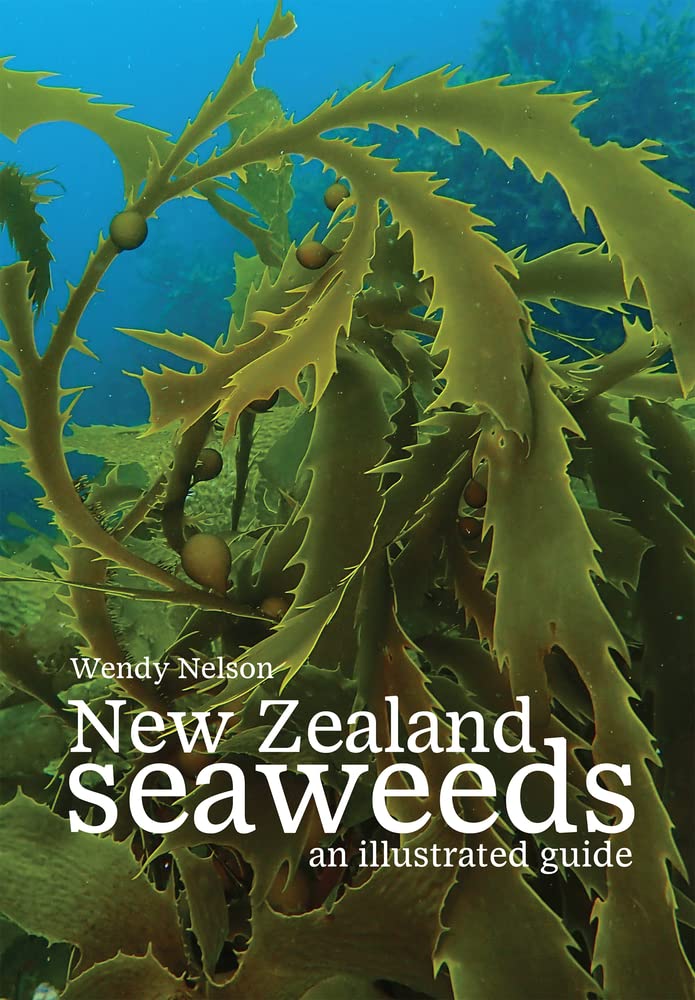 New Zealand Seaweeds An Illustrated Guide cover image