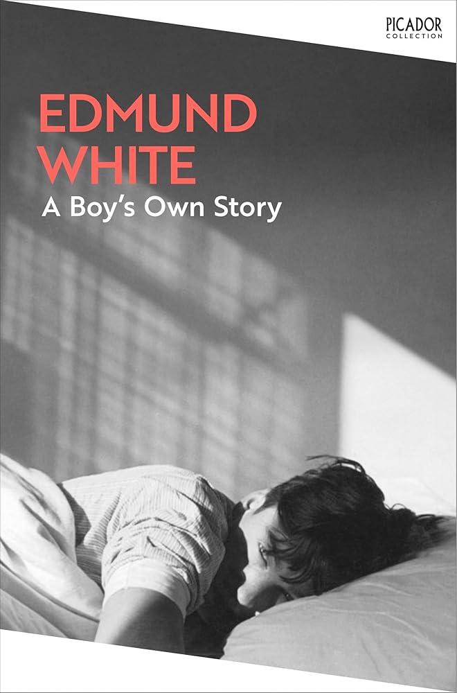 A Boy's Own Story cover image