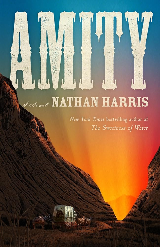 Amity cover image