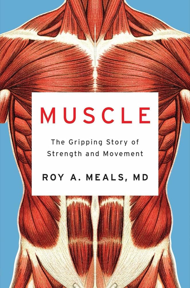 Muscle The Gripping Story of Strength and cover image