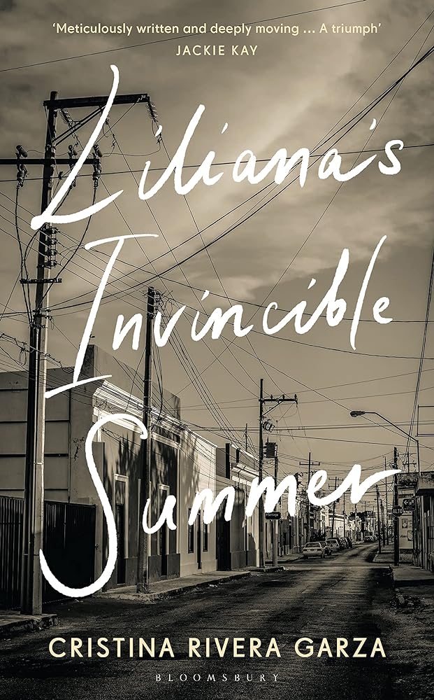 Liliana's Invincible Summer A Sister's Search for cover image