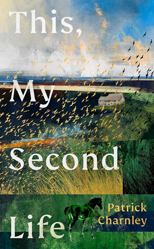This, My Second Life cover image