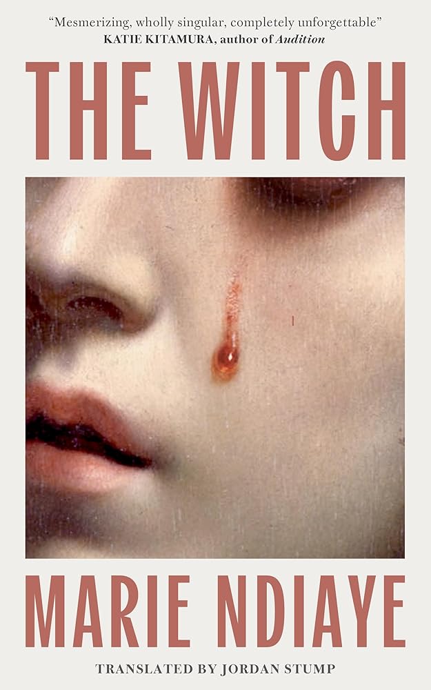 The Witch cover image