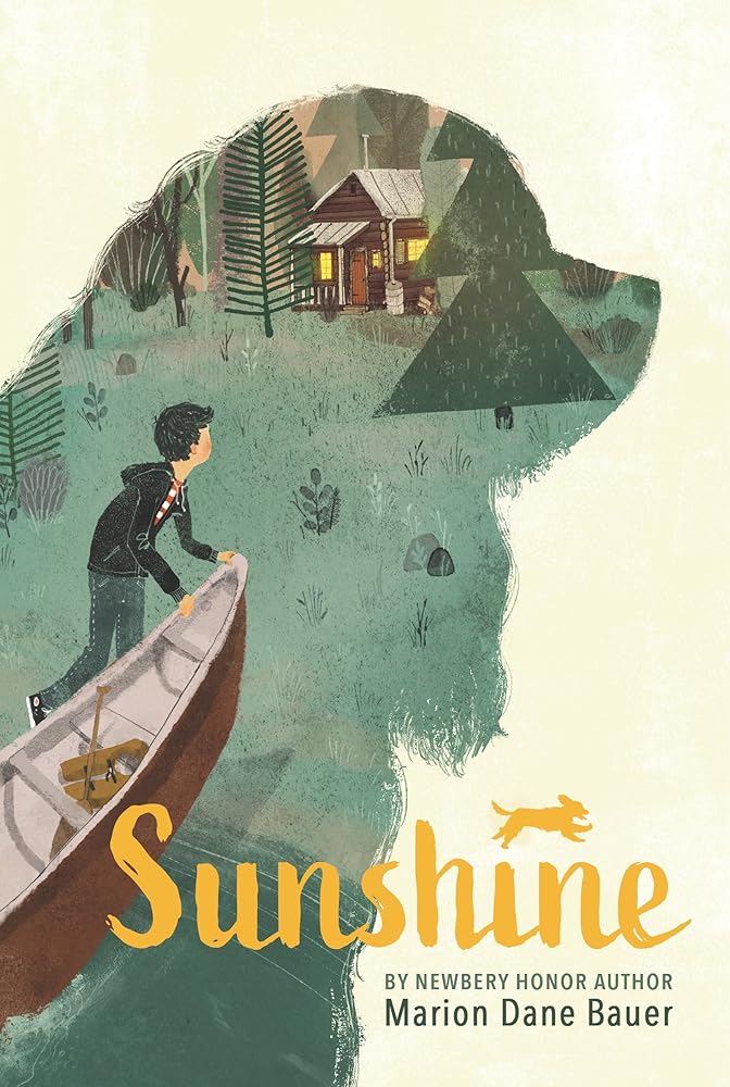 Sunshine cover image