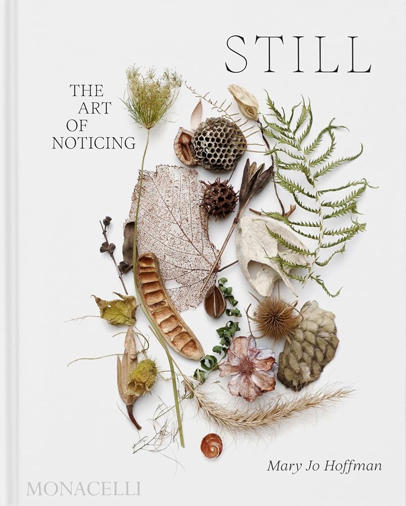 Still The Art of Noticing cover image