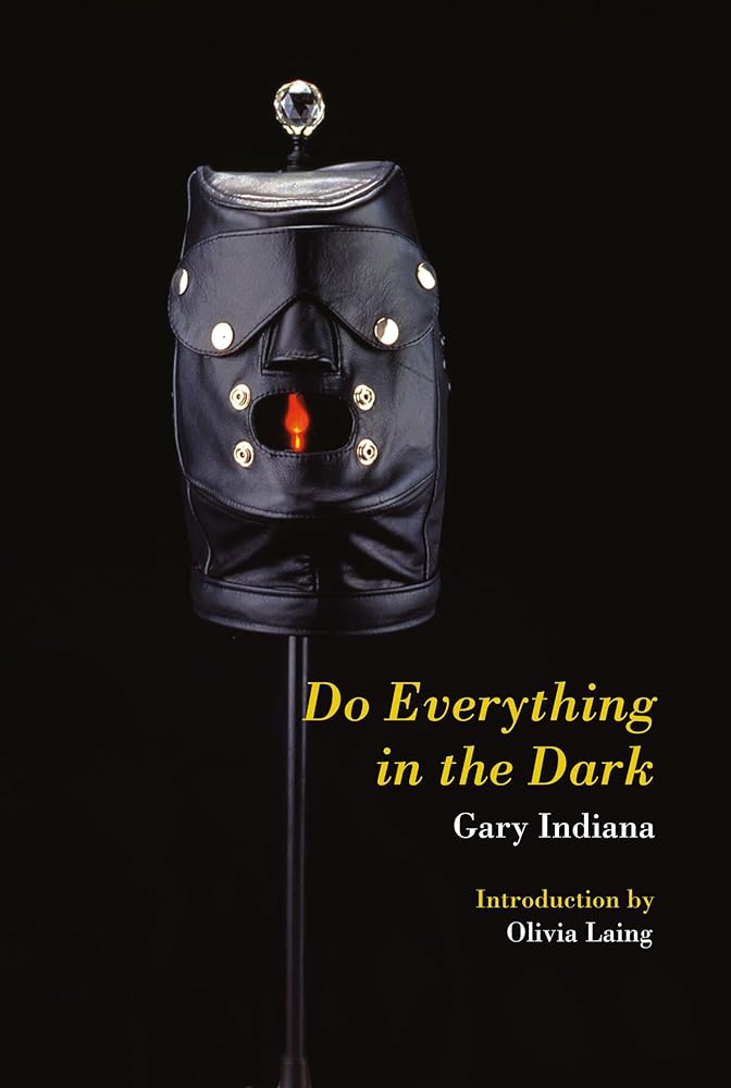 Do Everything in the Dark cover image