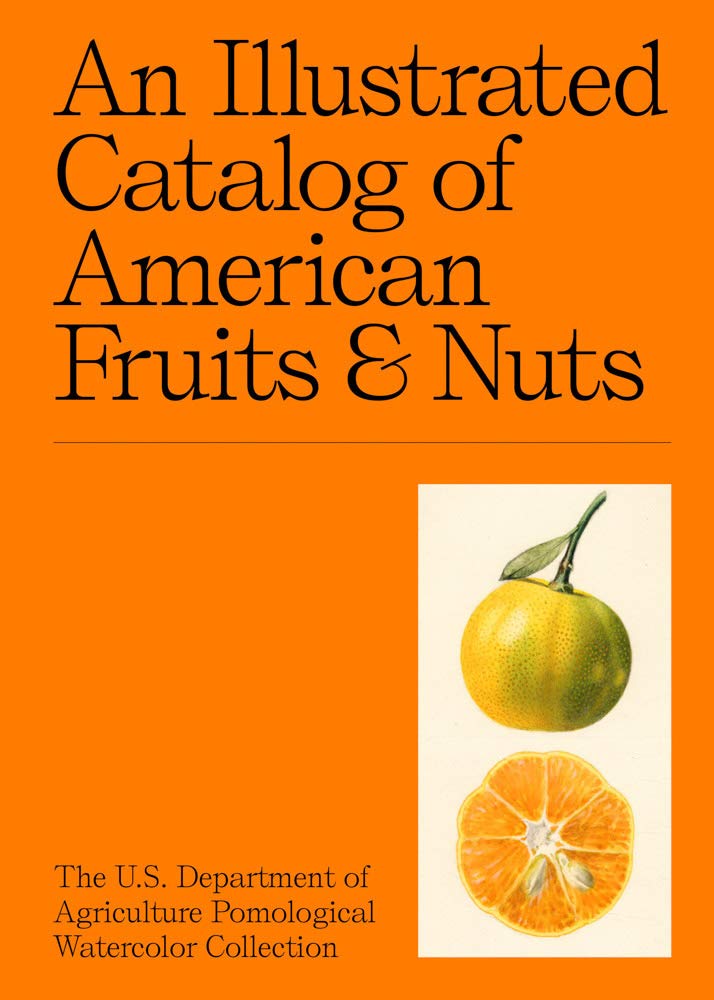 An Illustrated Catalog of American Fruits and Nuts cover image