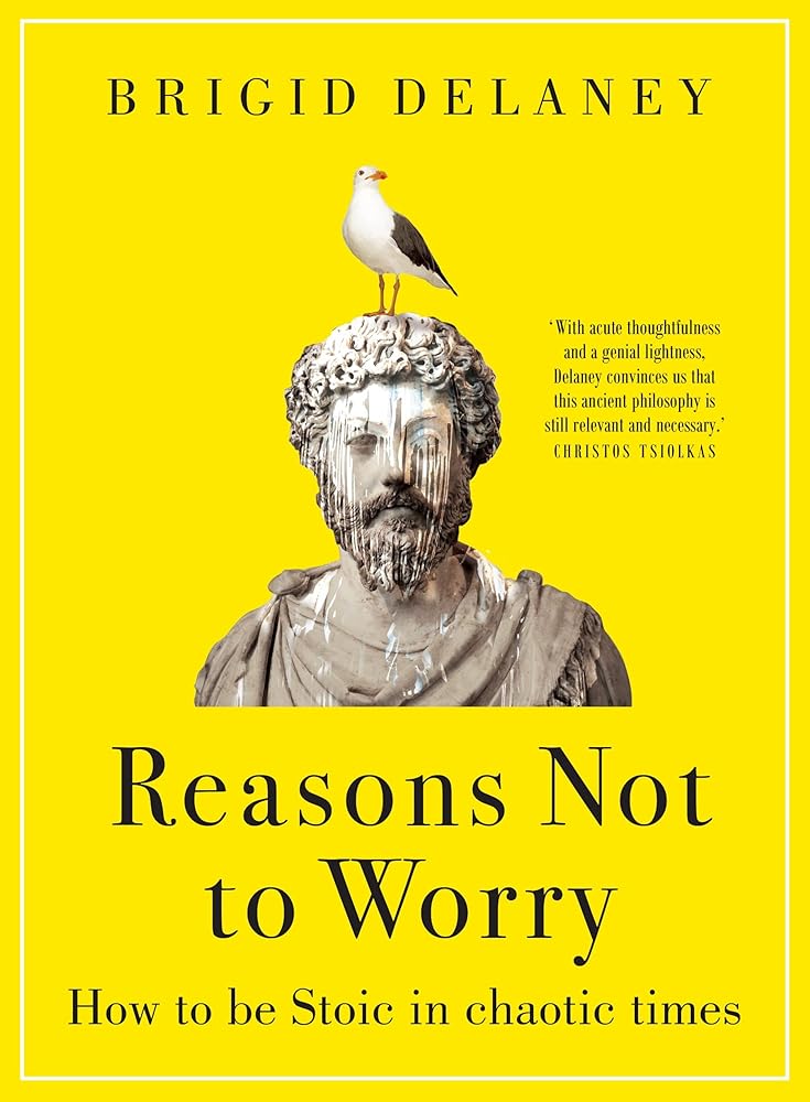 Reasons Not to Worry How to Be Stoic in Chaotic cover image