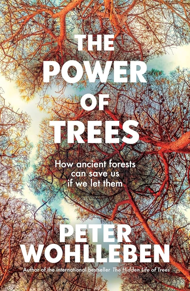 The Power of Trees How Ancient Forests Can Save cover image