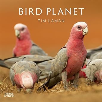 Bird Planet cover image