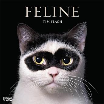 Feline cover image