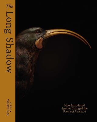 Long Shadow cover image