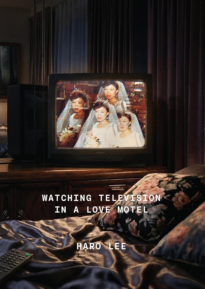 Watching Television in a Love Motel cover image