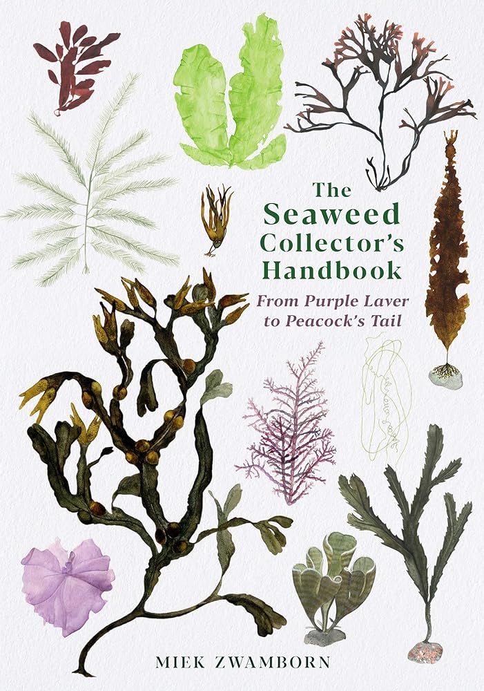 The Seaweed Collector's Handbook From Purple cover image