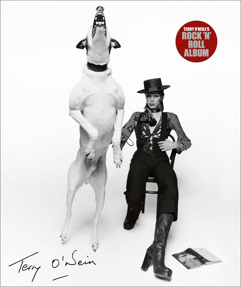 Terry O'Neill's Rock 'n' Roll Album cover image