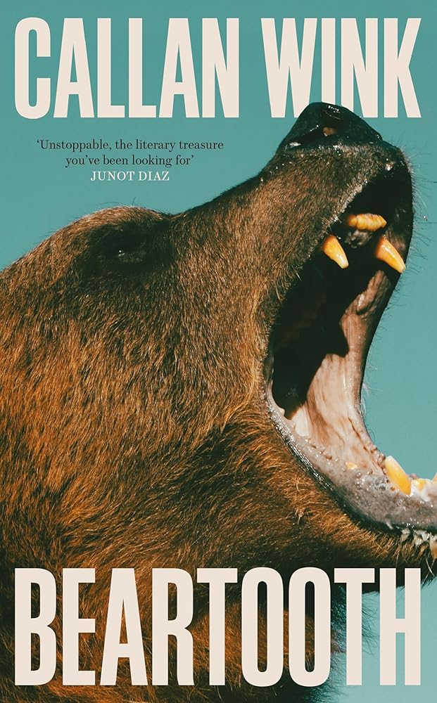 Beartooth cover image