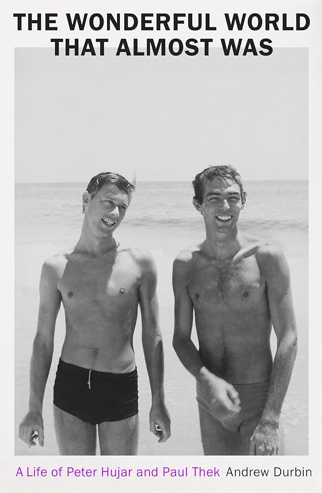 The Wonderful World that Almost Was: A Life of Peter Hujar and Paul Thek cover image