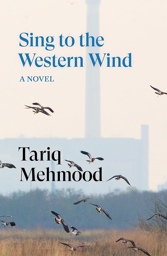 Sing to the Western Wind: A Novel cover image