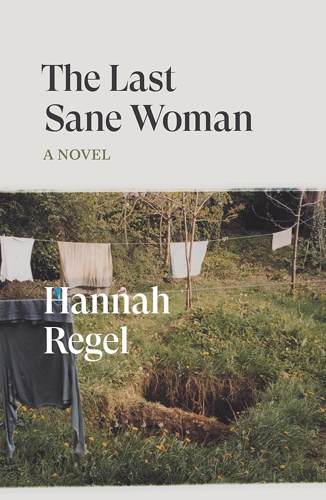 The Last Sane Woman: A Novel cover image