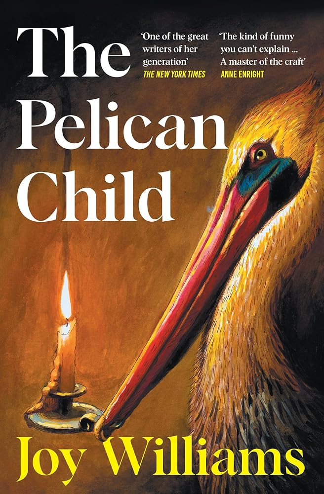 The Pelican Child cover image