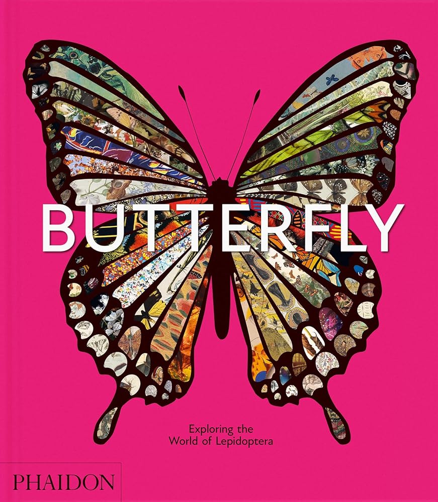 Butterfly: Exploring the World of Lepidoptera cover image