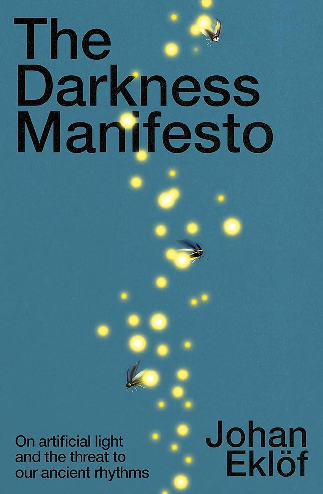 The Darkness Manifesto On Artificial Light and the cover image