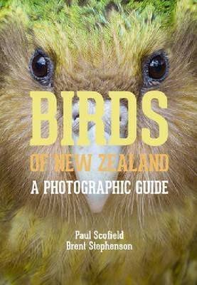 Birds of New Zealand A Photographic Guide cover image